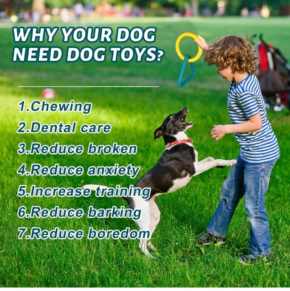 Interactive Dog Chew Toys - Rubber